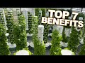 Vertical Farming With Aeroponics Top 7 Benefits Of A Tower Farm