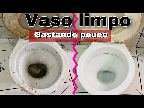 Como Limpar Vaso Sanitário, Encardido Com Crosta Por menos De 3 Reias