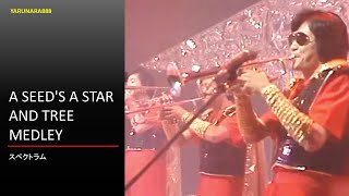 Tp202　A Seed&#39;s A Star Tree Medley　スペクトラム