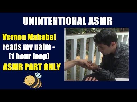 Unintentional ASMR - Vernon Mahabal reads my palm (1 Hour Loop - ASMR part only)