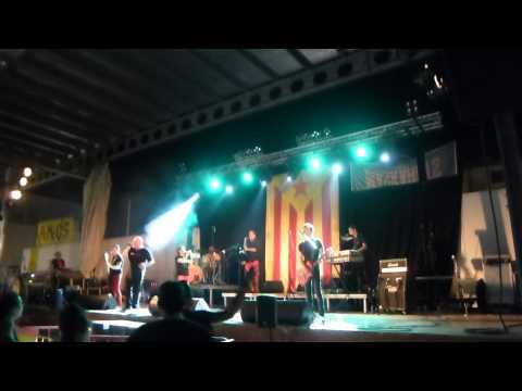 Brams en directe al Concert per la Independència (Ulldecona, 30-8-2014) 5/8