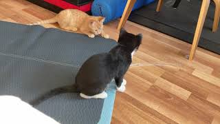 Day 2 我が家で迎えた初めての朝