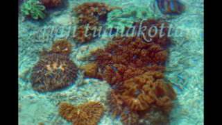 preview picture of video 'Haturessy Rakanyawa'