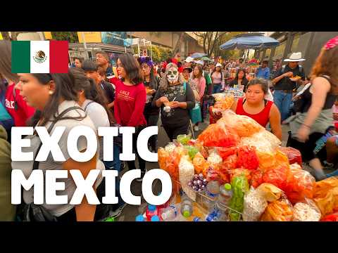 You Won't Believe It's Mexico 🇲🇽