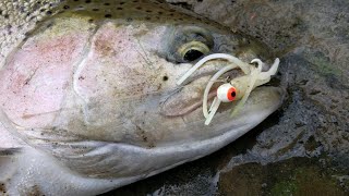 Rocky River: Steelhead fising with crappie tubes