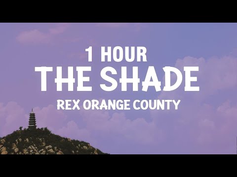[1 HOUR] Rex Orange County - THE SHADE (Lyrics)