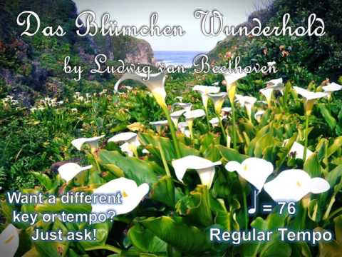 Das Blümchen Wunderhold by Beethoven Note-Learning Guide