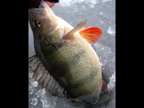 Как сделать зимнюю удочку из маркера со встроенной катушкой своими руками. Модификация 3