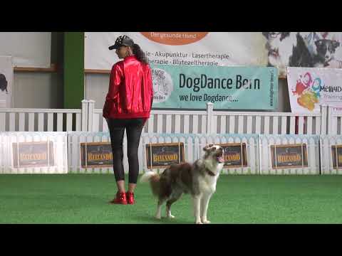 Winner Open european championship 2021 Germany - Lusy Imbergerova & Rysa - Dogdance  freestyle