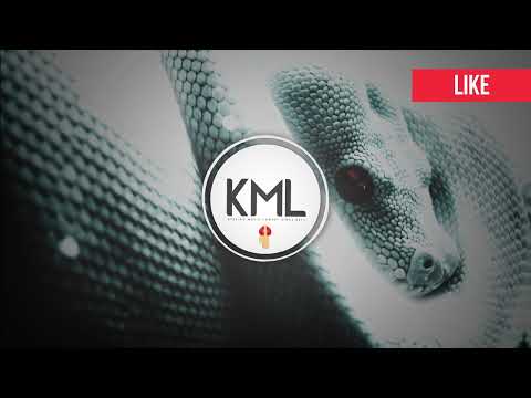 JUNKIE KID FT. KEKU - BASSCON (VELOWEN REMIX)
