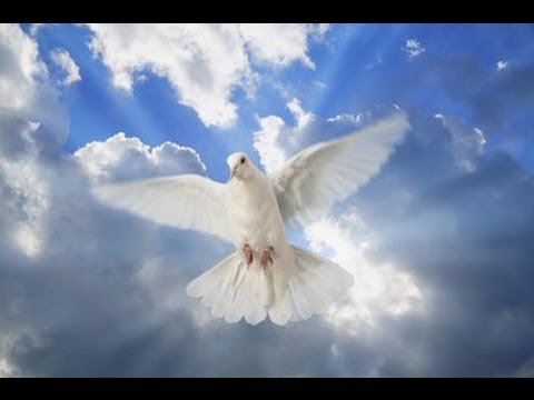 Saname Señor con tu Espiritu - Padre Mario Peralta