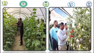 وحدة متابعه الخريجين