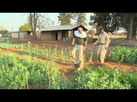 Feed 100 Orphans & Vulnerable Children Zimbabwe