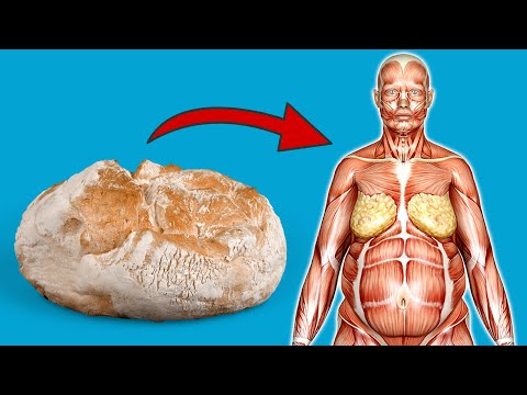 Du GLAUBST NICHT was mit deinem Körper passiert, wenn du aufhörst Brot zu essen 💥