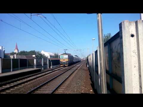 OS 5005 včele 163.255