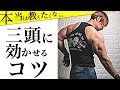 【腕トレ】三頭筋トレーニングの効果を倍増させるコツを紹介!でかい腕を手に入れろ!