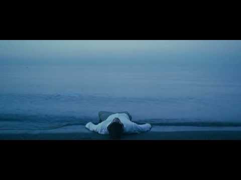 Mandroid Echostar - Paladin (Official Video)