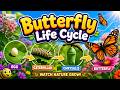 Butterfly Life Cycle 🦋 | Science Song for Kids | Learn About Butterflies