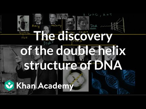 The discovery of the double helix structure of DNA