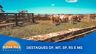 Miniatura do vídeo