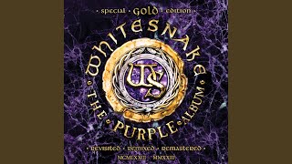 Stormbringer (Punch in the Nuts Mix) (2023 Remix)