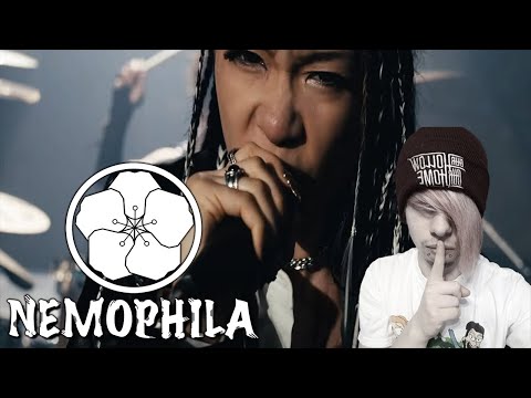 German Emo FIRST TIME Hearing Nemophila - A Ray Of Light (REACTION)