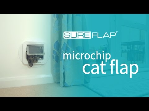 Replacing the catch pad on the SureFlap Microchip Cat Door