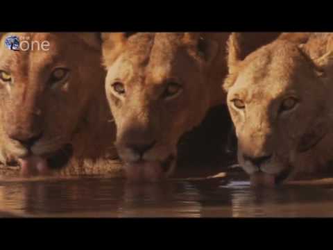 SoundLift - Lenda (Original Mix)