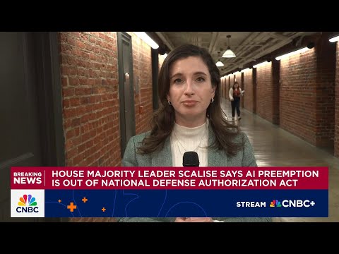 House Majority Leader Scalise says AI preemption is out of National Defense Authorization Act