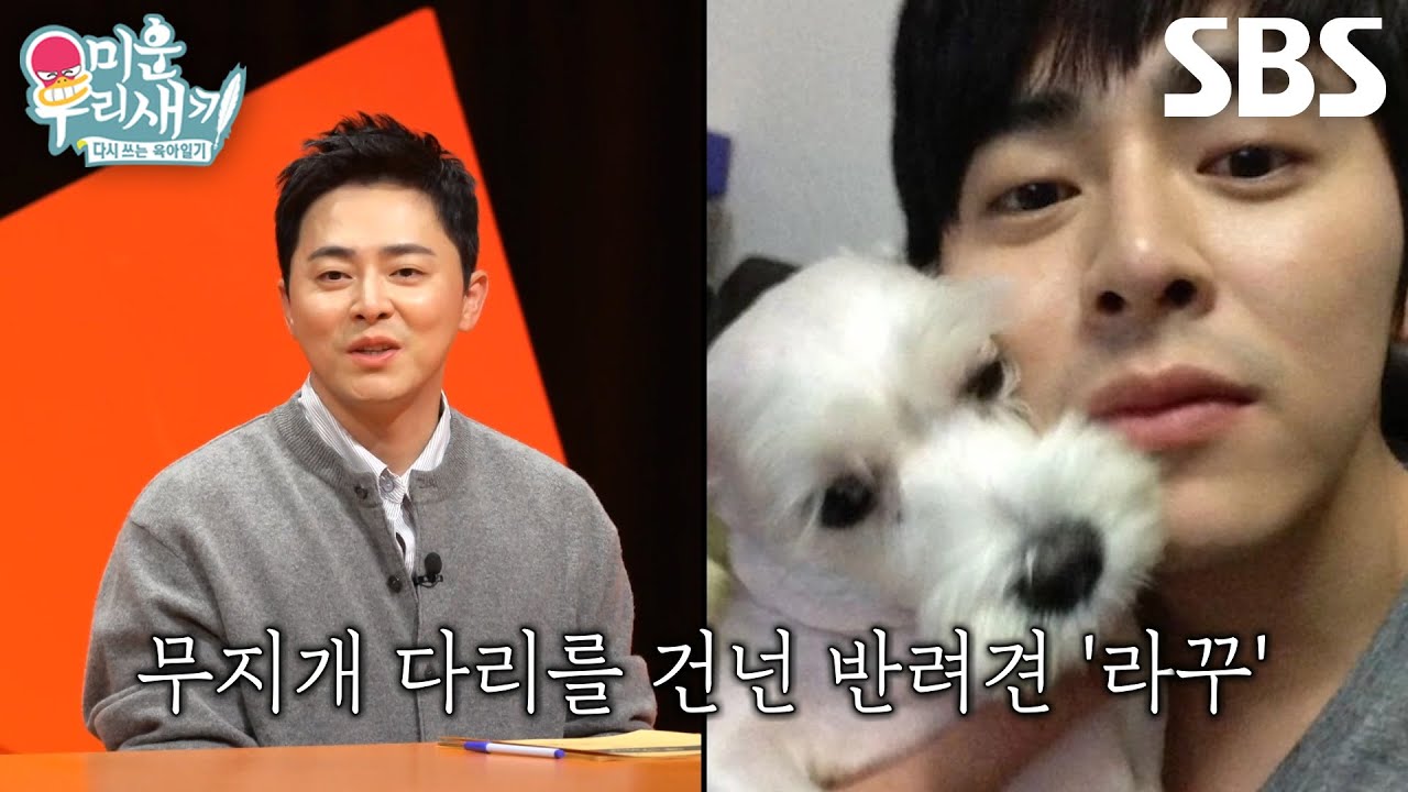 “성인이 되면 좀 더...” 조정석, 반려동물 떠나보낸 배정남 마음 이해하며 공감↘