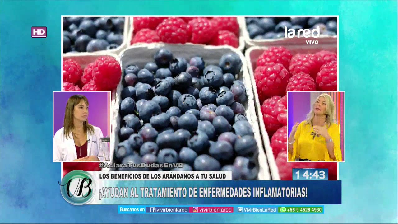 Los Arándanos: ¿Para quiénes están contraindicados