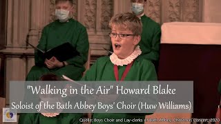 &quot;Walking in the Air&quot; Howard Blake | Soloist of the Bath Abbey Boys&#39; Choir (Huw Williams)