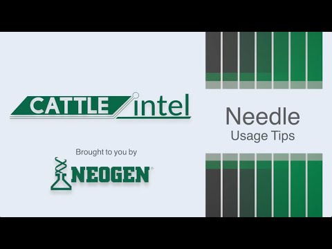Cattle Intel Needle Usage