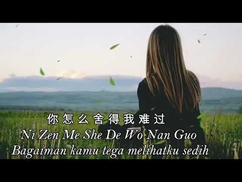 Ni Zen Me She De Wo Nan Guo
