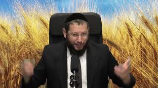 ספירת העומר – תהליכים לא מושלמים הם השלמים בחיים – הרב אייל אונגר