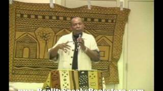 Prof. James Smalls - Reconstruction of the Black Family (Sneak Preview)