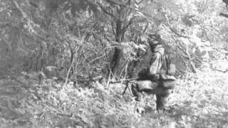 Stan Ridgeway's - Camouflage