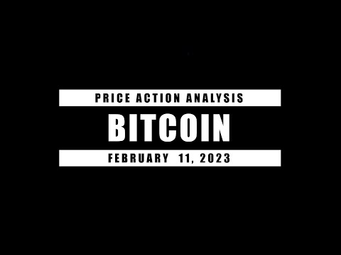 BITCOIN PRICE ACTION ANALYSIS 02/11/23
