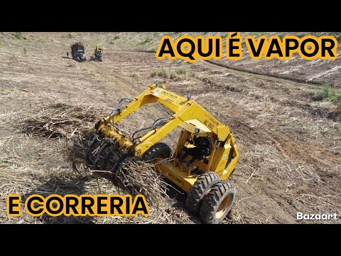 COLHEITA DE CANA A TODO VAPOR, NA USINA UNIÃO EM PRIMAVERA-PE 