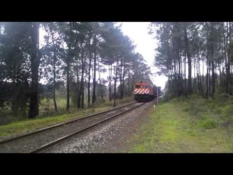 Transporte de mercadorias em Leiria