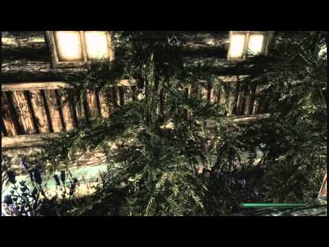 Skyrim Mods:  Fallingwater Estate