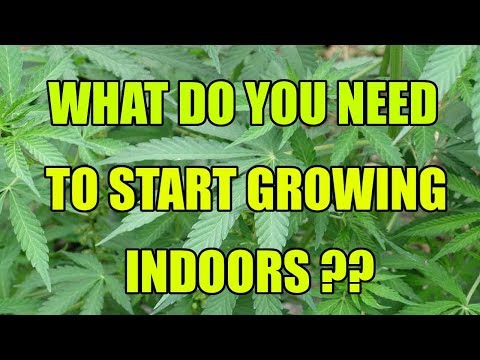 Beginners guide 🚜How to grow marijuana indoors..Grow Weed Easy...