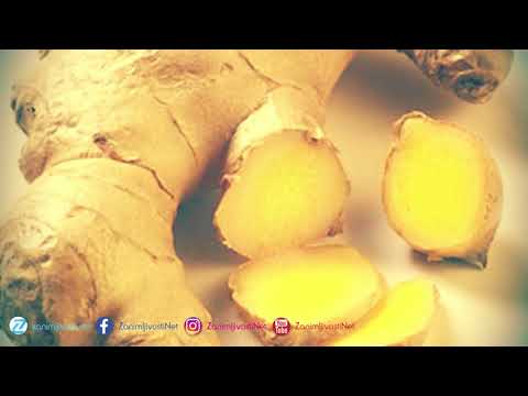 Ljekovita svojstva đumbira (Zingiber officinale)
