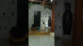 Download lagu SYEKH DATUL KAHFI GURU SUNAN GUNUNG JATI DAN SUNAN KALIJAGA #walisanga #cirebon mp3 Download lagu SYEKH DATUL KAHFI GURU SUNAN GUNUNG JATI DAN SUNAN KALIJAGA #walisanga #cirebon mp3