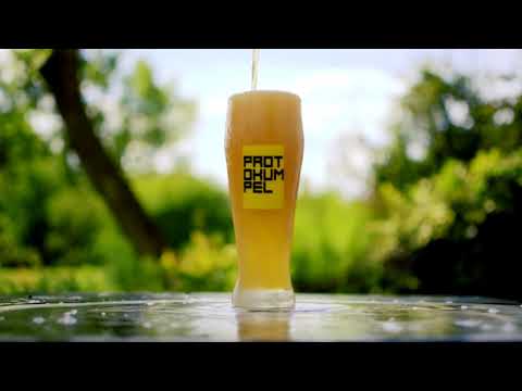 protokumpel - ich protestiere (official video)