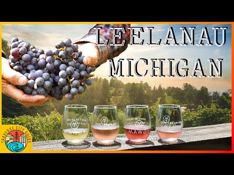 5 Must-Visit Wineries on Leelanau Peninsula | Traverse City Michigan Wine Tour Guide 2025