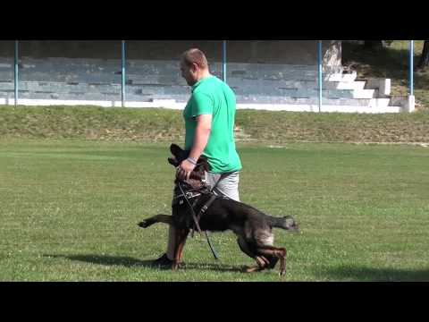 Benny z Berounske Basty - protection