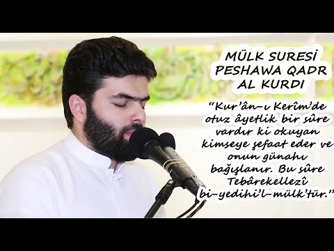 Dinlemeye Doyamayacağınız Mülk Suresi  - (Peshawa Qadr Al Kurdi Kıraatleri-19)