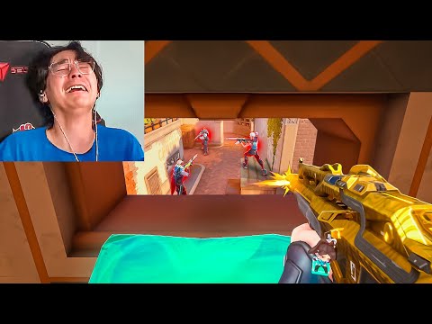 Sage is ACTUALLY Useful…