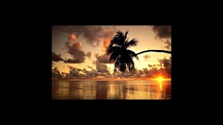 "Radio Bonsai" Siel - (RAP CASTELAR)